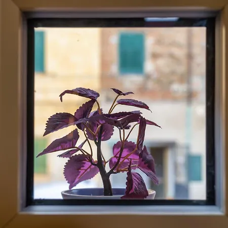 Casina Rossa Apartment